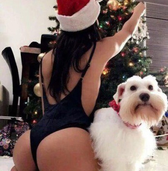 Анкета проститутки Юлиана - город Сельцо, 21 год, №7115